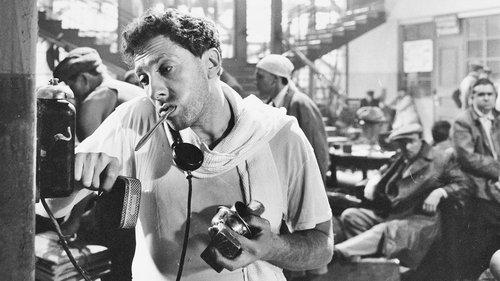 Time, Forward! filmas žiurėti online