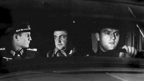 Women and War filmas žiurėti online