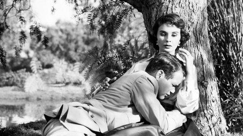 Until They Sail filmas žiurėti online