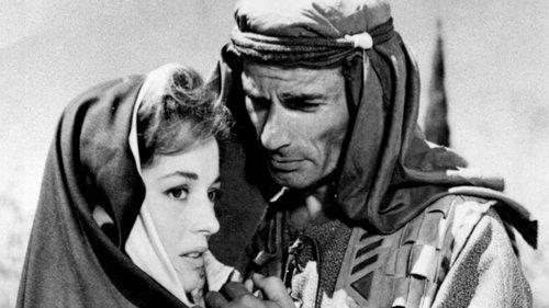 A Story of David filmas žiurėti online