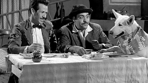 Qué perra vida filmas žiurėti online