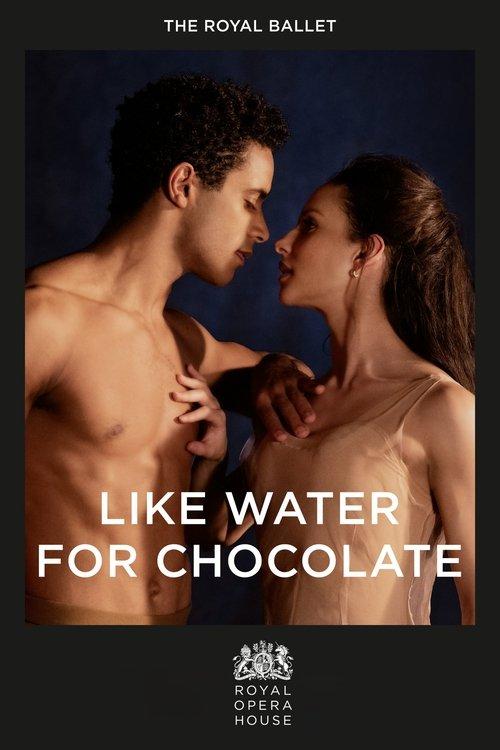 Like Water for Chocolate filmas online