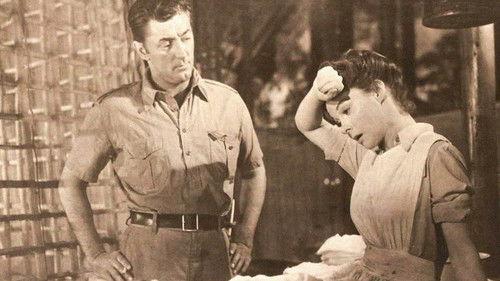 White Witch Doctor filmas žiurėti online