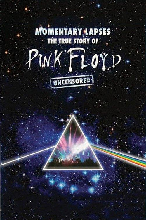 Pink Floyd: Momentary Lapses - The True Story of Pink Floyd filmas online