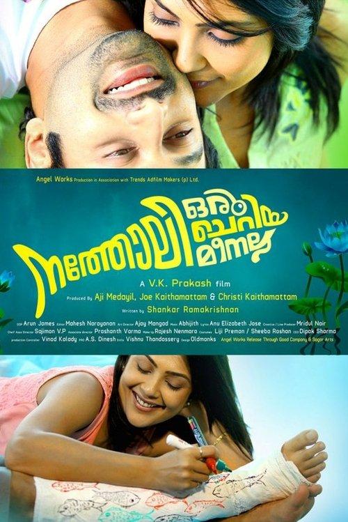 Natholi Oru Cheriya Meenalla filmas online