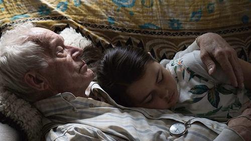 Falling filmas žiurėti online