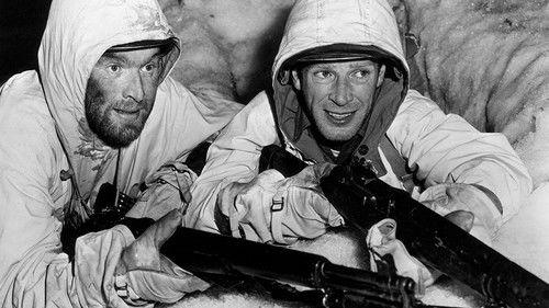 Fixed Bayonets! filmas žiurėti online