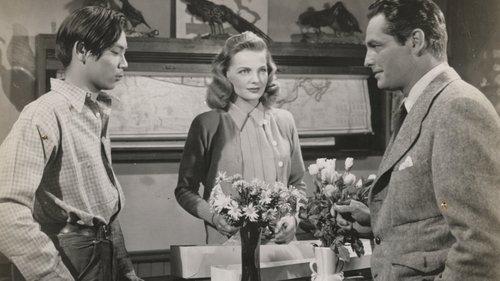 Black Gold filmas žiurėti online