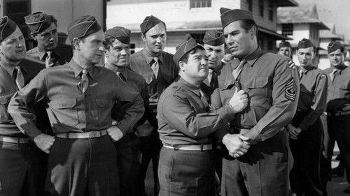 Buck Privates Come Home filmas žiurėti online