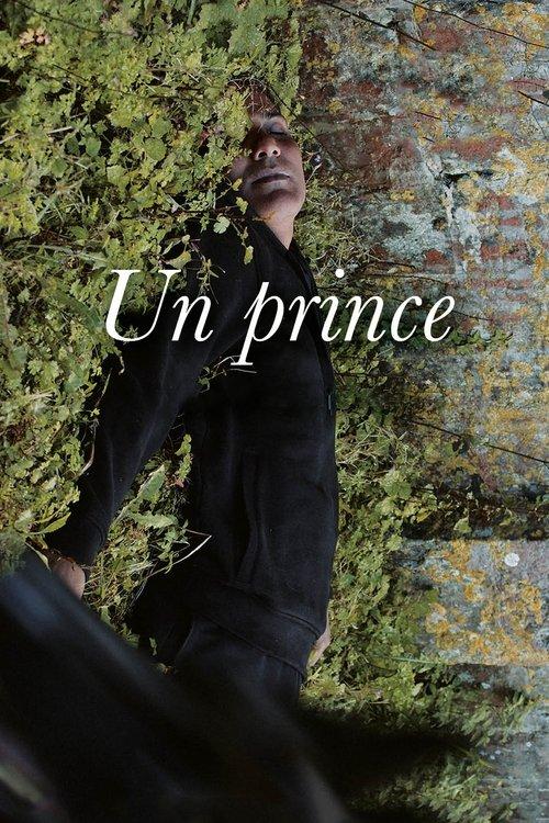 Un prince filmas online