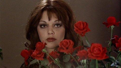 Lifespan filmas žiurėti online