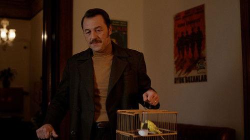 Parçalı Yıllar filmas žiurėti online