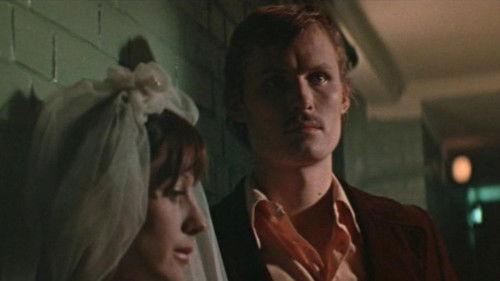 Errors of Youth filmas žiurėti online