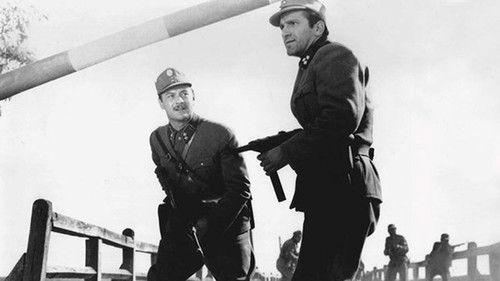 Signal Over the City filmas žiurėti online