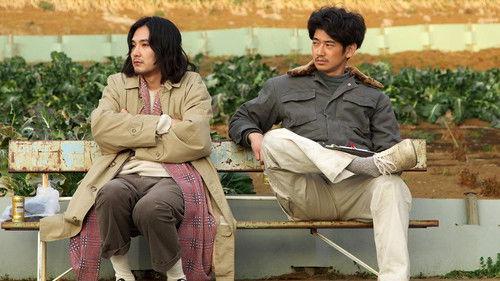 Disconcerto filmas žiurėti online