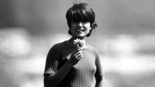 The Circle filmas žiurėti online