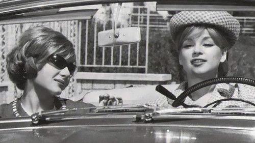 The Woman Driver filmas žiurėti online