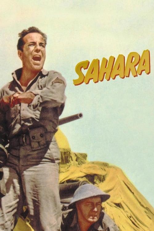 Sahara filmas online