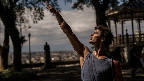 Um Lobo entre os Cisnes filmas žiurėti online