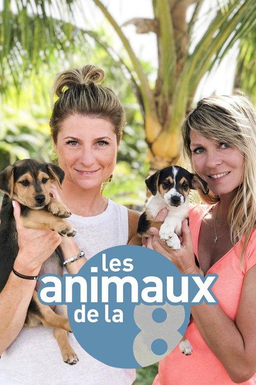 Les animaux de la 8 filmas online