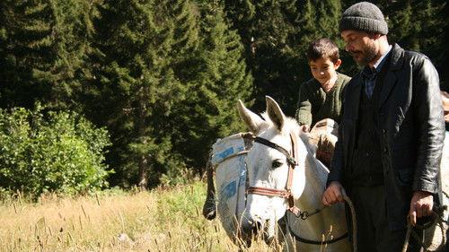 Bal filmas žiurėti online