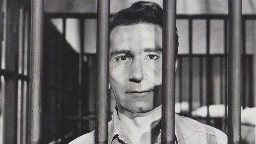 The Big Tip Off filmas žiurėti online