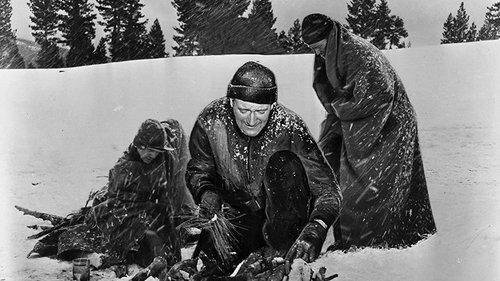 Island in the Sky filmas žiurėti online