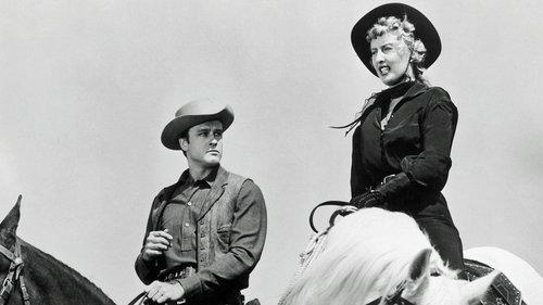 Forty Guns filmas žiurėti online