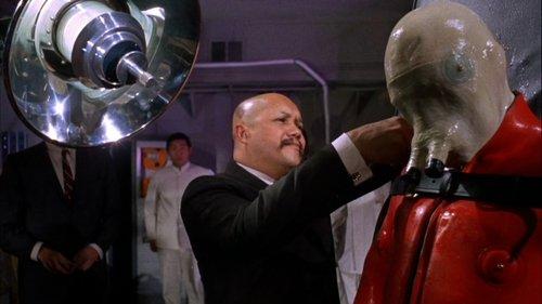 Cocoon filmas žiurėti online