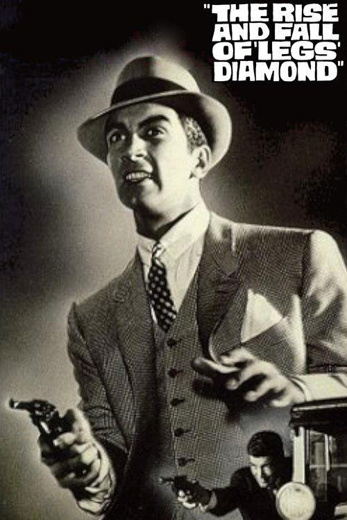 The Rise and Fall of Legs Diamond filmas online