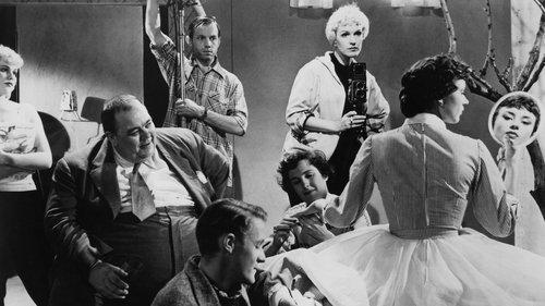 Kvinnodröm filmas žiurėti online