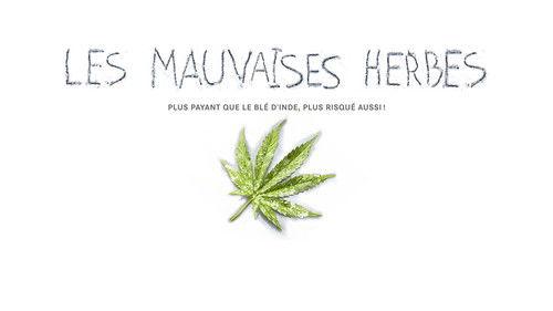 Les mauvaises herbes filmas žiurėti online