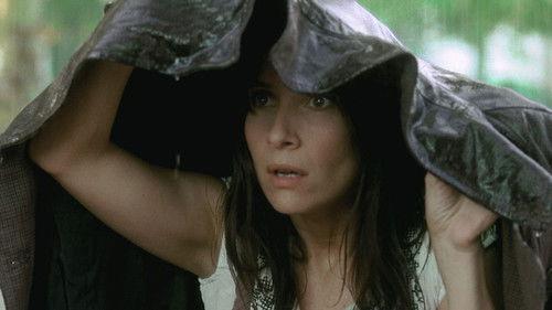 Didine filmas žiurėti online