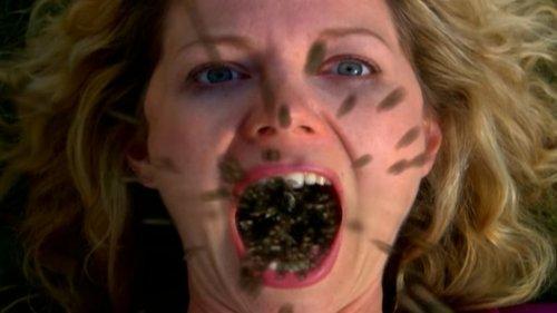 Infested filmas žiurėti online