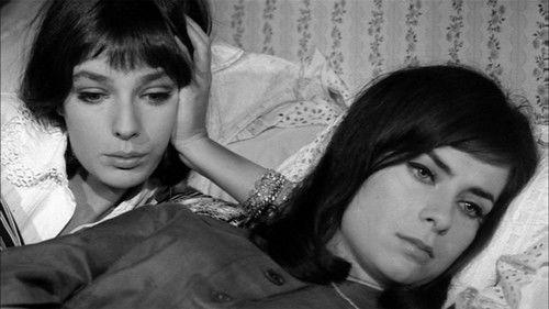 Because, Because of a Woman filmas žiurėti online