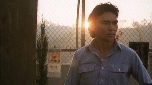 Bloodfist III: Forced to Fight filmas žiurėti online