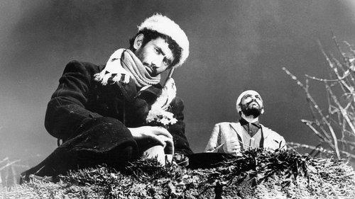 Bride of the Earth filmas žiurėti online