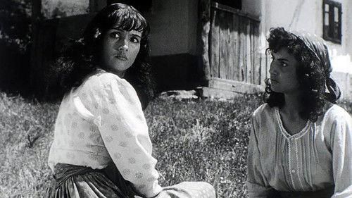 Hanka filmas žiurėti online