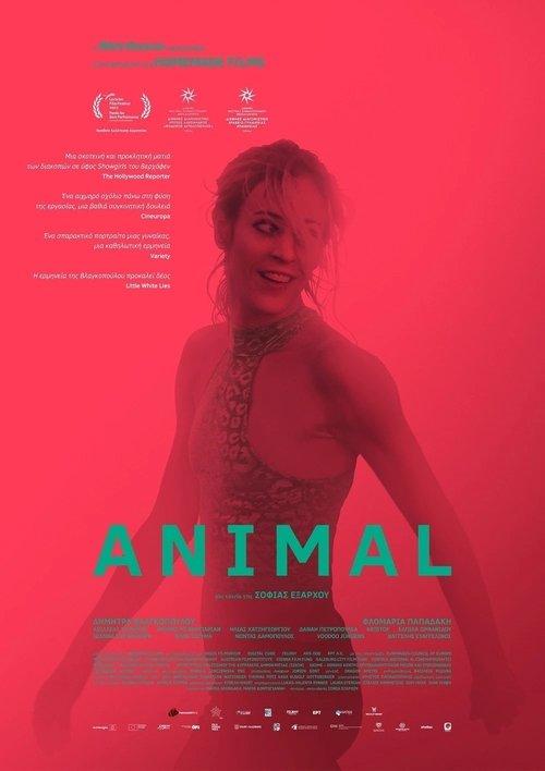 Animal filmas online