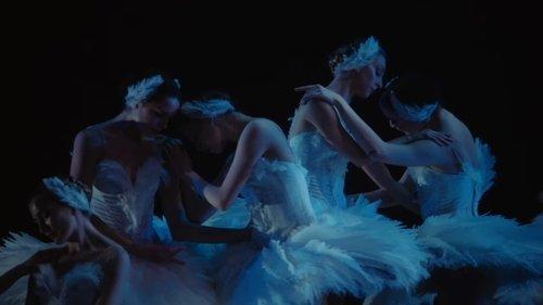 Swan Song filmas žiurėti online