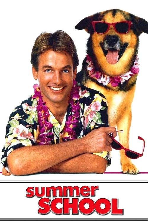 Summer School filmas online