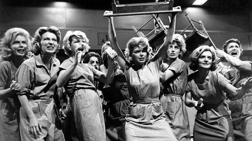 House of Women filmas žiurėti online