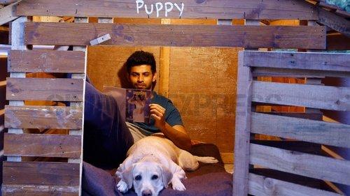 Puppy filmas žiurėti online