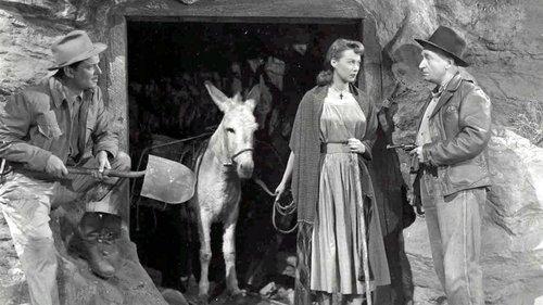 Angel in Exile filmas žiurėti online