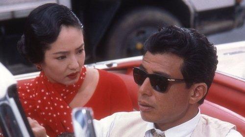 I Don't Have a License! filmas žiurėti online