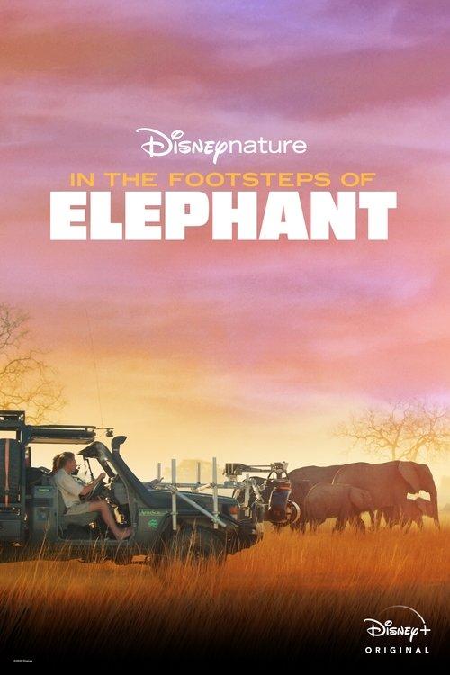 In the Footsteps of Elephant filmas online