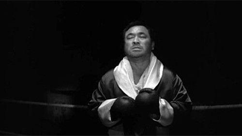 I Am a King filmas žiurėti online