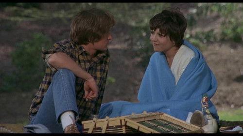 Summertree filmas žiurėti online