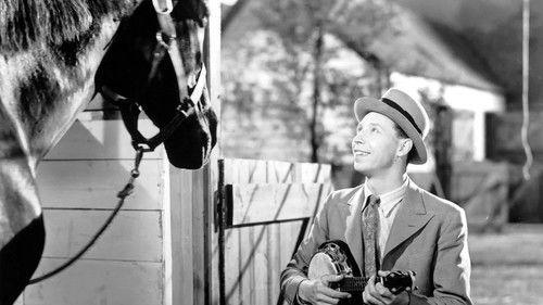 Come on George! filmas žiurėti online