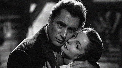 Guilt Is My Shadow filmas žiurėti online